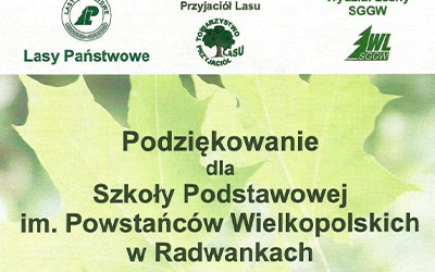 Rozstrzygnięcie konkursu "Czysty las". 